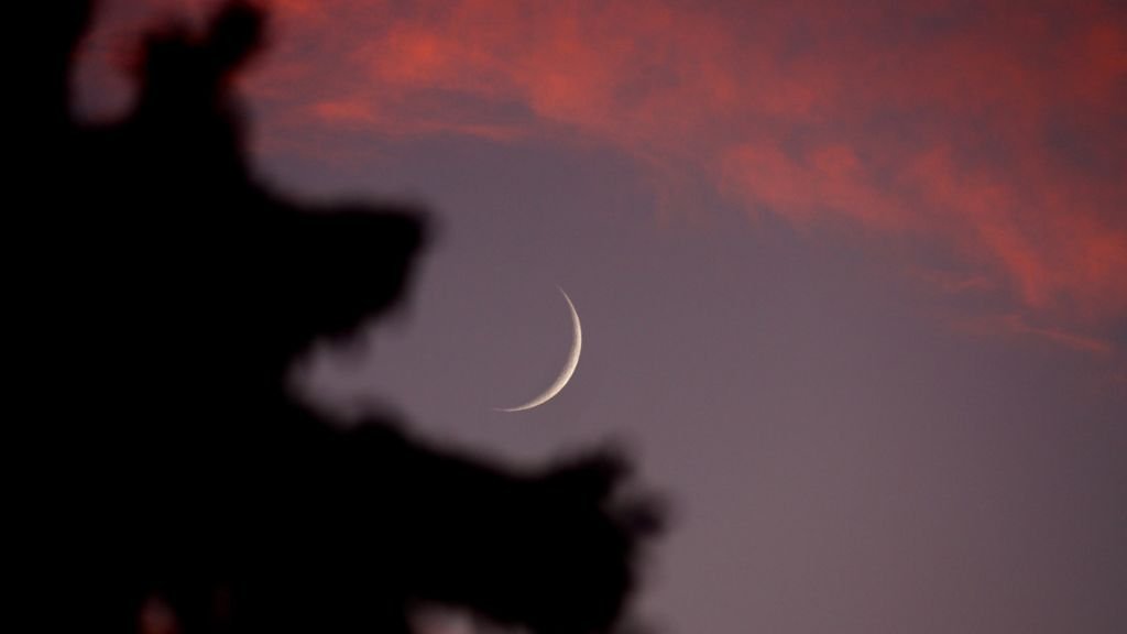 دولتان عربيتان تعلنان اليوم السبت أول أيام عيد الفطر.. تعرف عليهما 19