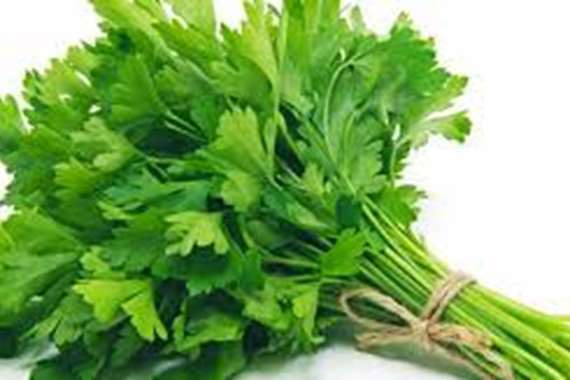 كيف يخلصك "البقدونس" من " الكرش" في 5 دقائق 15