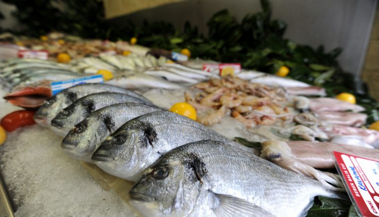 تركيا تصدّر 1247 طنا من سمك الهمسي في 5 شهور