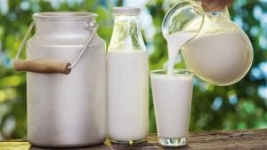 الحليب غير المبستر يحمل خطرا يهدد الصحة أكثر مما ينفعها