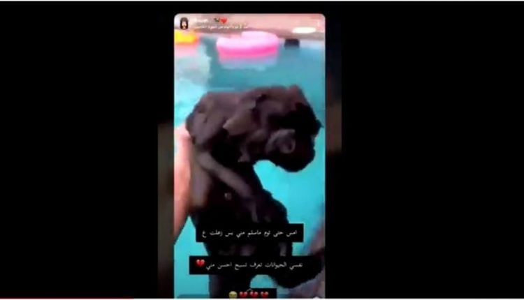 فتاة تعذب الحيوانات في السعودية.. ومطالب بضبطها ومحاسبتها (فيديو)