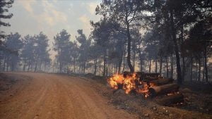 اندلاع حريق ضخم شمال غربي تركيا
