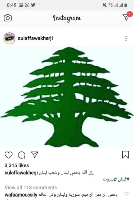 هكذا تعاطف نجوم سوريا مع اللبنانيين بعد انفجار مرفأ بيروت 1