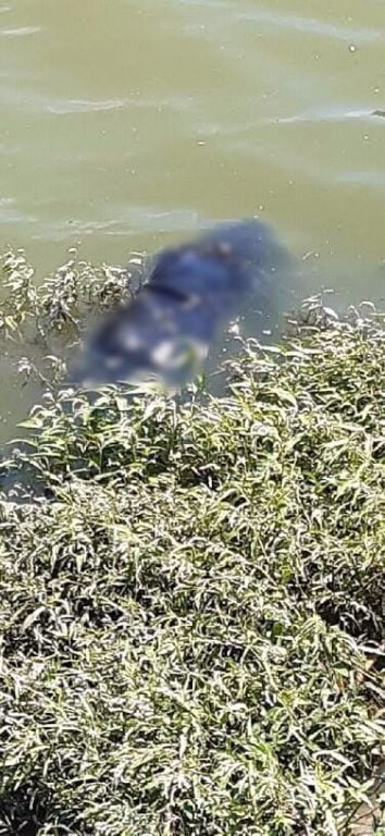 ثاني ايام العيد.. أنطاكيا تستقيظ على جثة فتاة سورية ملقاة في النهر (شاهد) 1