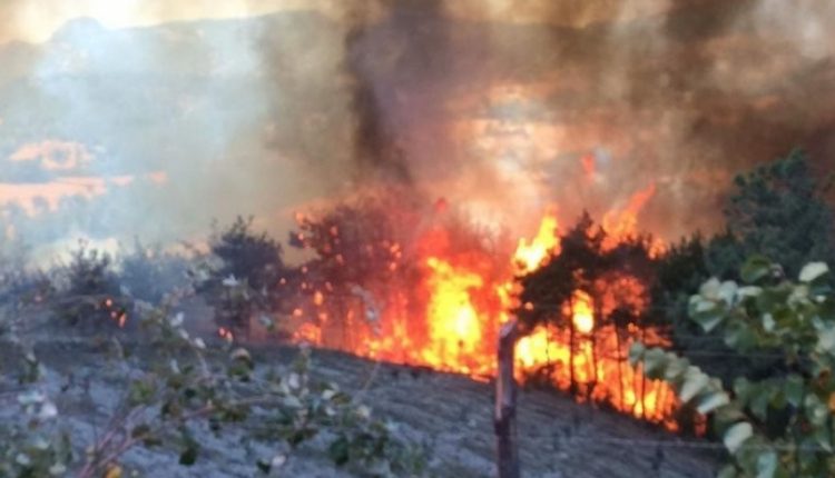 حرائق في أضنة