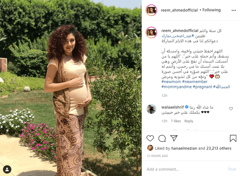 أصغر بنات "عائلة ونيس" حامل.. ومحمد صبحي مصدوم 1