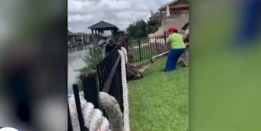 تفاصيل مرعبة.. شاهد أب ينقذ ابنته من قبضة تمساح ضخم 49