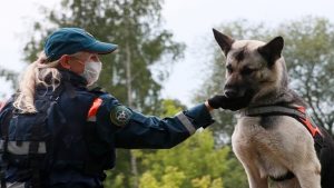 إقالة ضابط أمريكي بسبب كلب (فيديو)
