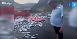 حادث عجيب.. أطنان من الأسماك المتناثرة على الطريق السريع في أنطاليا (فيديو)