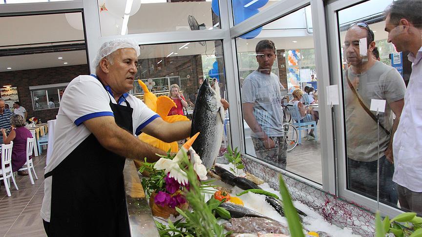 انخفاض كبير على أسعار الأسماك في تركيا.. ما القصة؟