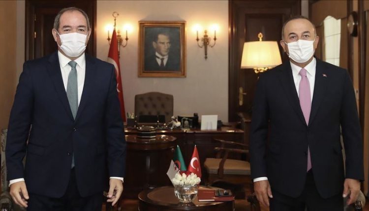 وزير الخارجية التركي