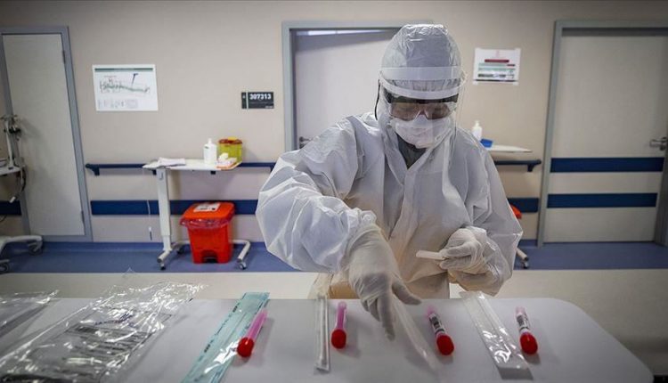 الحصيلة الاجمالية