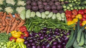 المواد الغذائية