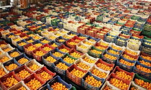 صادرات الخضروات والفواكه التركية تحقق ارتفاعا 3% خلال شهر يناير
