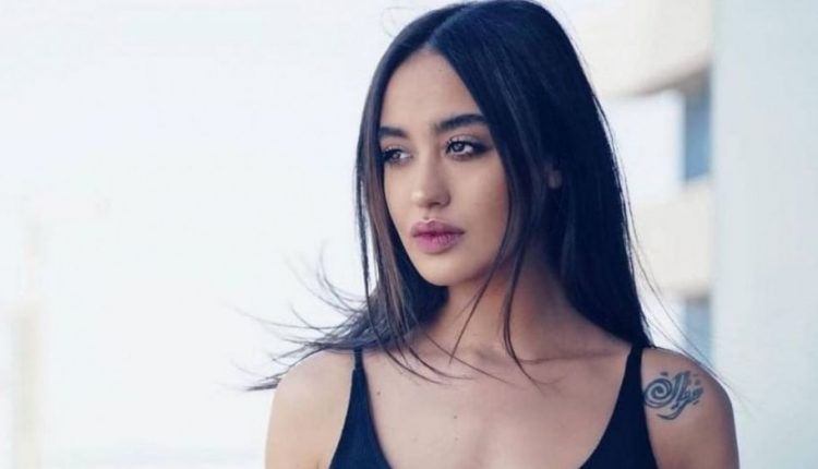 نينا عبد الملك