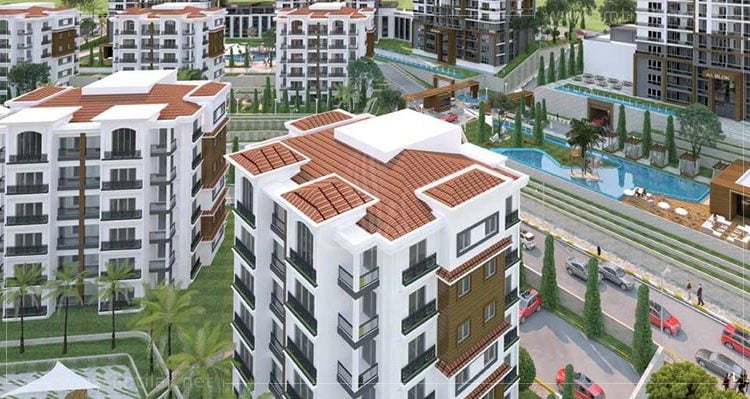 ايجار المنازل