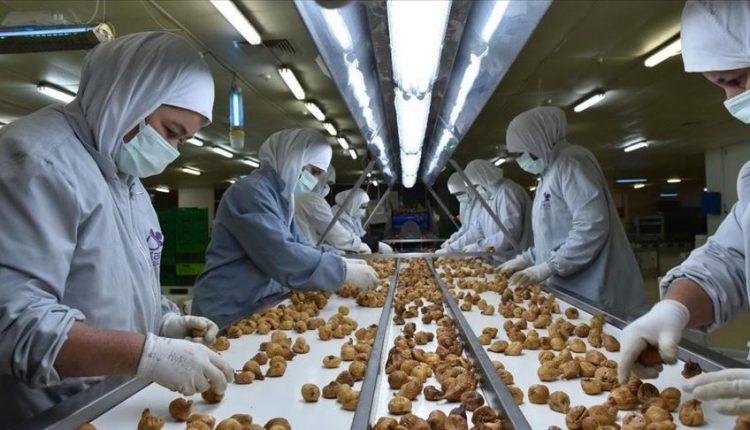 أكثر من 70 مليون $ عائدات تركيا من التين المجفف