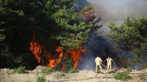 تركيا تسيطر على حرائق غاباتها