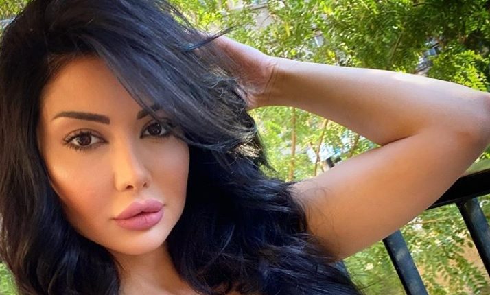 النجمة السورية دانا جبر