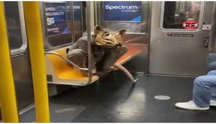 كما رد فعل صادم على تنكر رجل بهيئة فأر داخل مترو كما