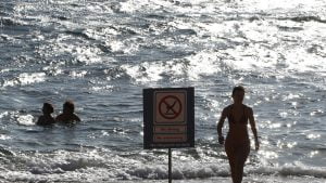 بالفيديو.. لحظة هجوم قرش على سائحة ألمانية في مصر