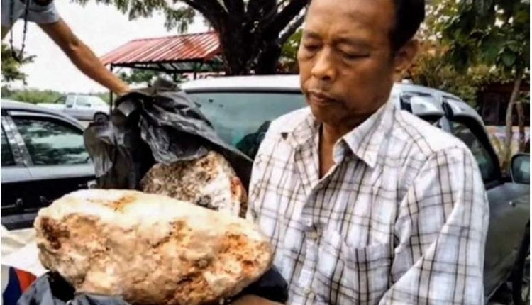 صياد مفلس يصبح مليونيرًا بسبب قيء الحوت