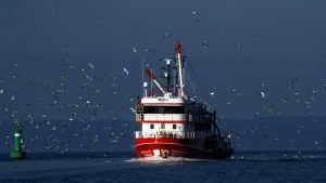 بالفيديو.. تصادم بين سفينتين تركية ويونانية في بحر إيجه