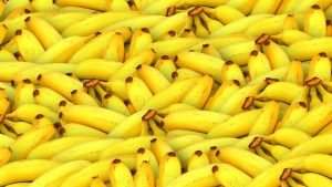 احذروا هذا الموز… يقتل الإنسان خلال ساعتين!