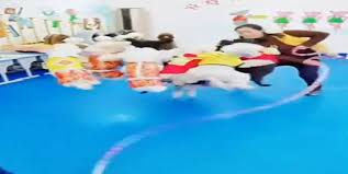 10 كلاب تتعلم لعبة نط الحبل في وقت واحد (فيديو طريف) 9