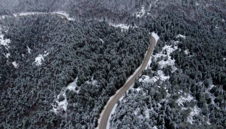 حادثة قيام رجل بدفع زوجته الحامل