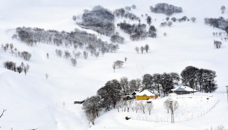 الثلوج تغطي المدينة