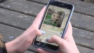 طال انتظارها.. واتساب يعلن عن تفعيل ميزة رائعة