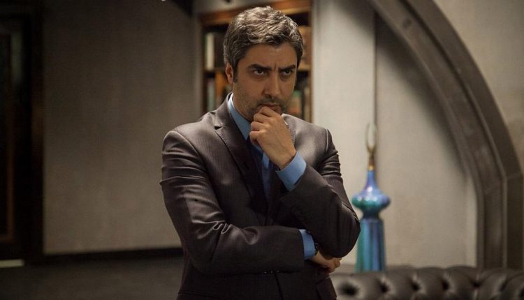 وادي الذئاب الجزء 11