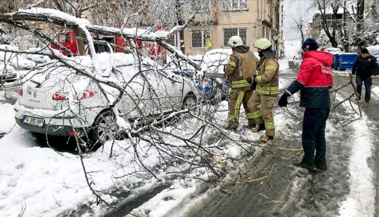 سقوط أشجار بفعل العواصف والثلج في اسطنبول