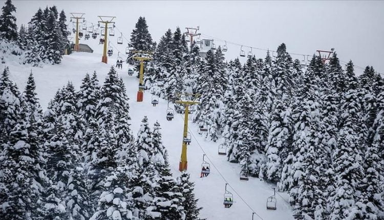 أطعمة للحيوانات البرية