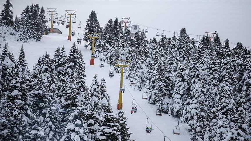 أطعمة للحيوانات البرية