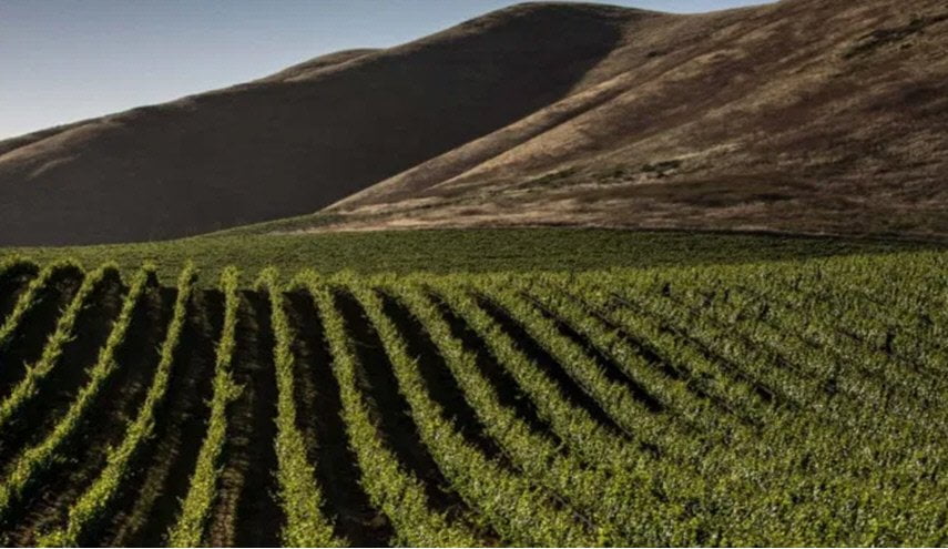 قم بزيارة سياحية الى هذه المنطقة و استلم 100 دولار 1