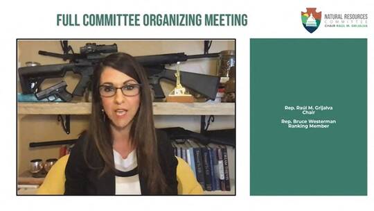 إحدى نواب الحزب الجمهوري تستعرض أسلحة خلفها خلال اجتماع رسمي عبر "زووم" (فيديو) 1