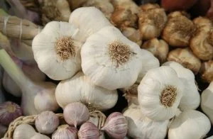 قائمة أطعمة يُنصح بتناولها بعد أخذ لقاح كورونا