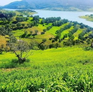 عفرين تستمر بالازدهار بعد ثلاث سنوات على تحريرها من الإرهاب