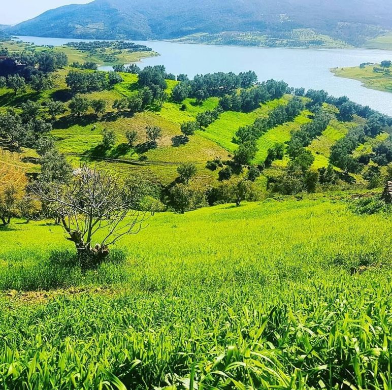 عفرين تستمر بالازدهار بعد ثلاث سنوات على تحريرها من الإرهاب