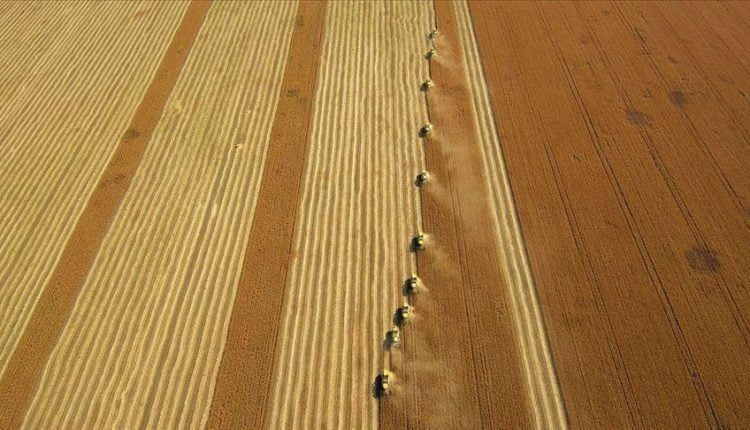 نمو ملحوظ لقطاع الزراعة في تركيا