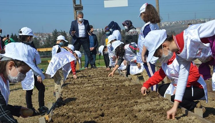 مشروع المزارعين الصغار في تركيا
