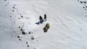 ولاية بينغول التركية تنشر 36 طن علف لإطعام الحيوانات البرية في الجبال