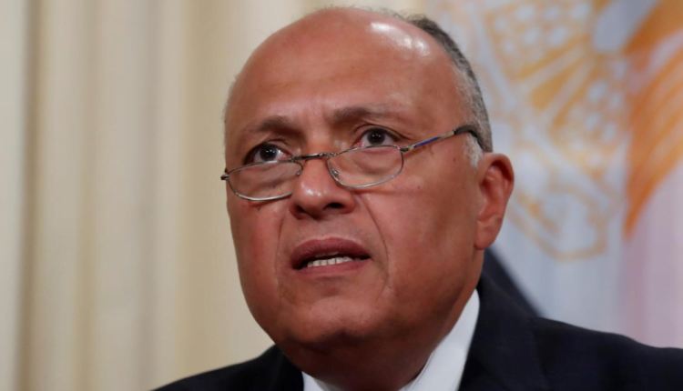 وزير الخارجية المصري: من المهم تطوير العلاقات مع تركيا