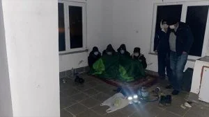 ضبط خمسة مهاجرين غير شرعيين في محافظة العثمانية