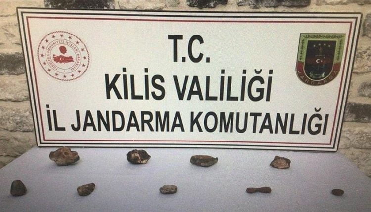 عمرها 170 مليون سنة.. ضبط سبعة أحافير تاريخية في تركيا