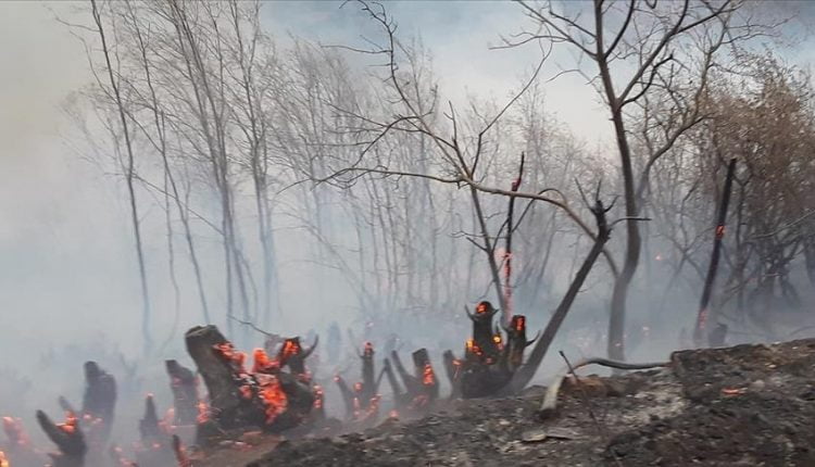 حرائق في غابات جنوب وغرب تركيا والأسباب ما تزال مجهولة