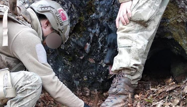 القوات الأمنية التركية