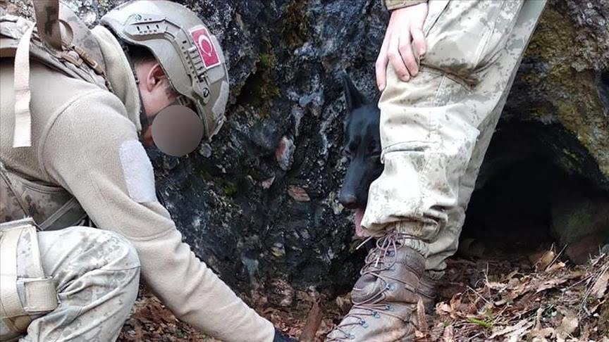 القوات الأمنية التركية